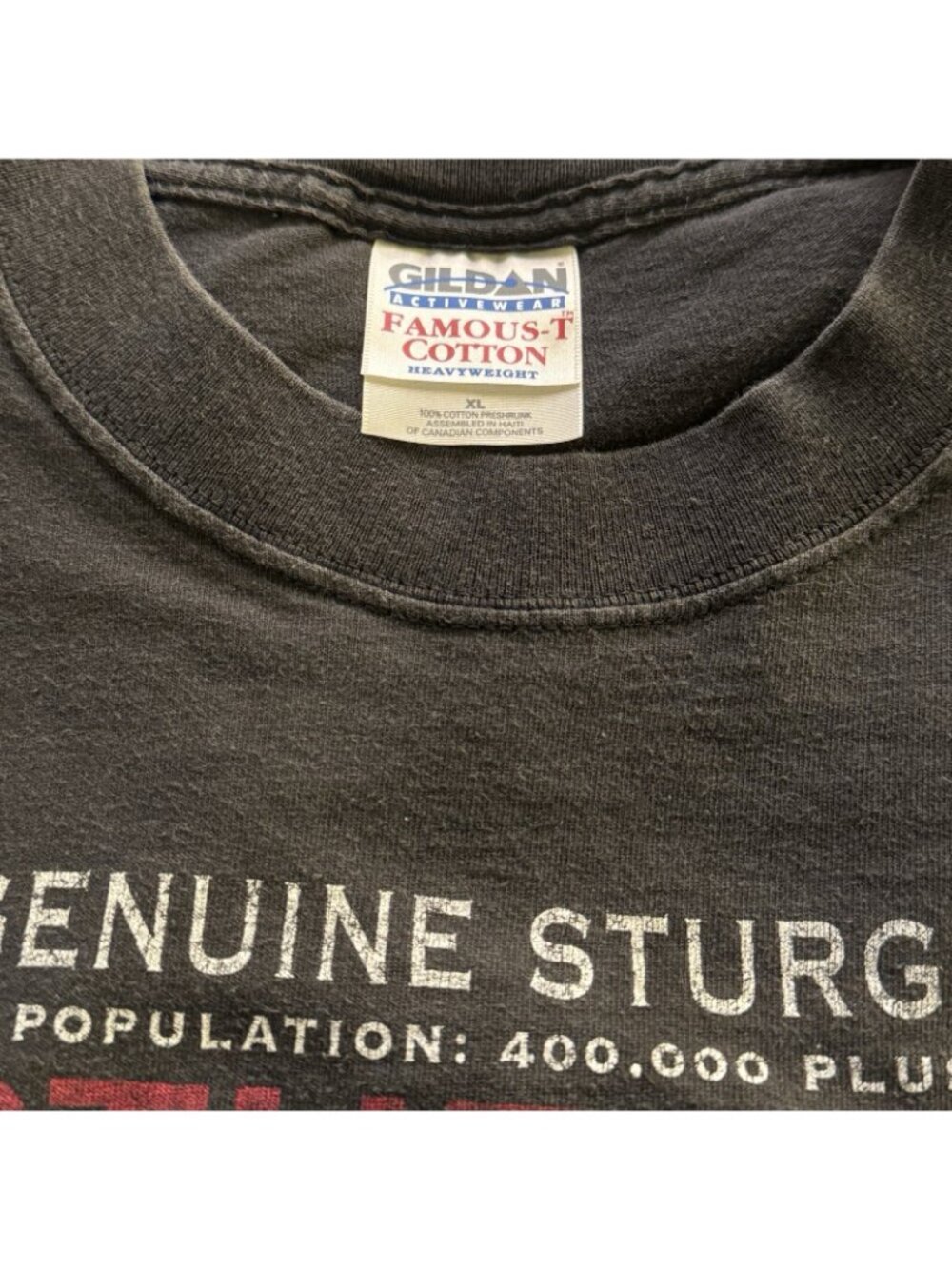 Sturgis Black Hills Rally Men's XL T-Shirts VTG 2000 2001 60th 61st Anniversary - Picture 4 of 12